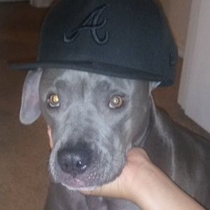 Meet your Posher, Loretta